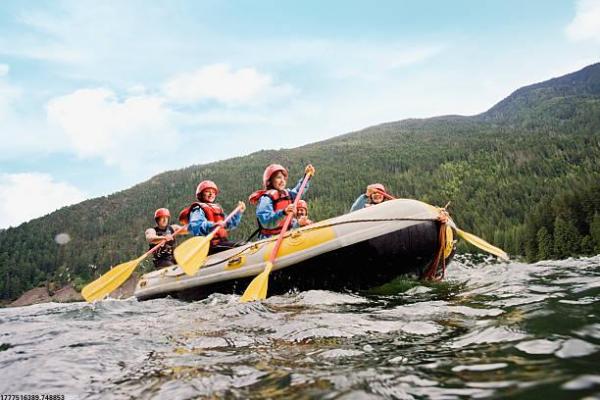 韩国在国际上表现突出的体育项目(图1)